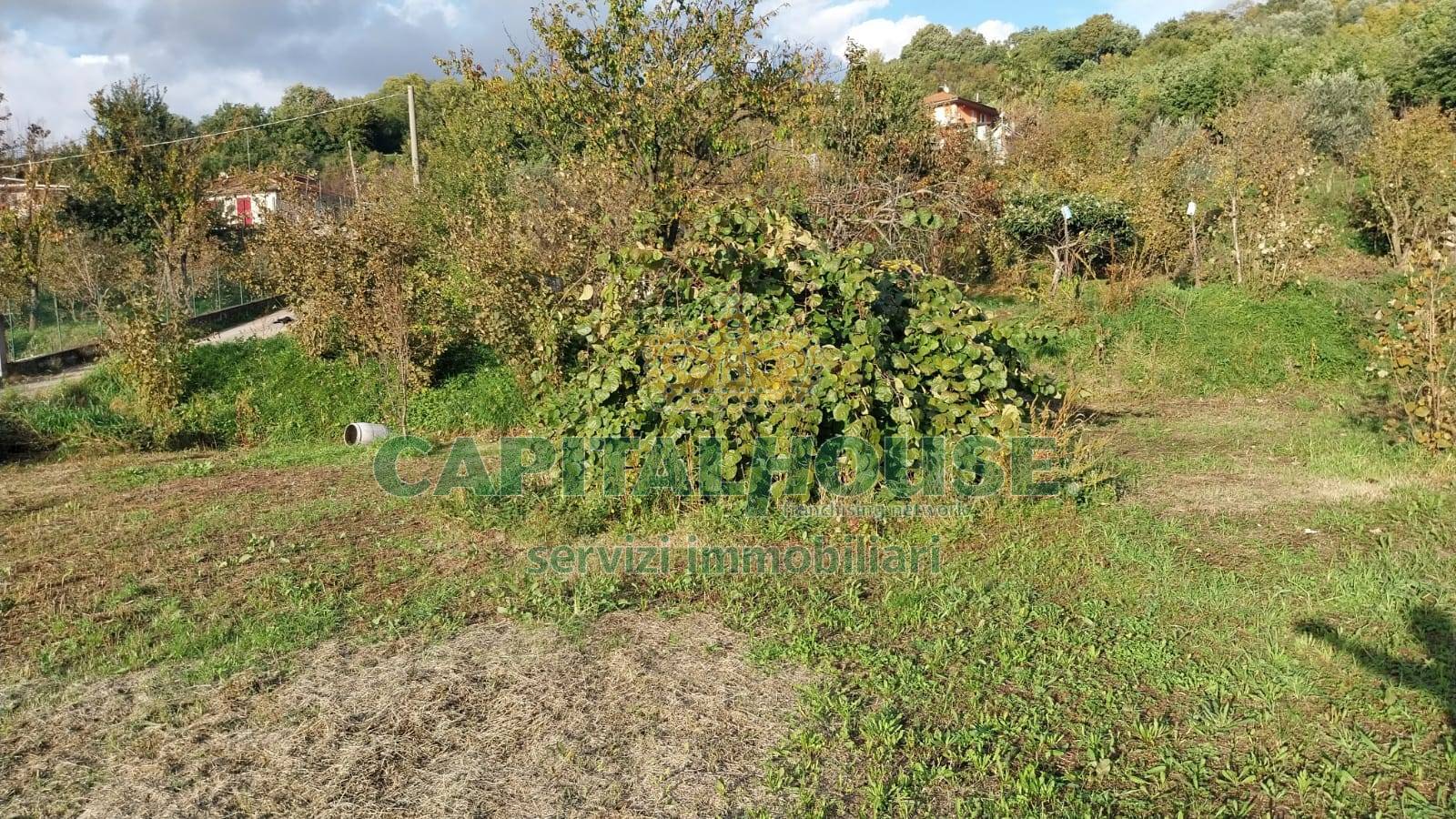 Terreno edificabile in vendita a Montoro