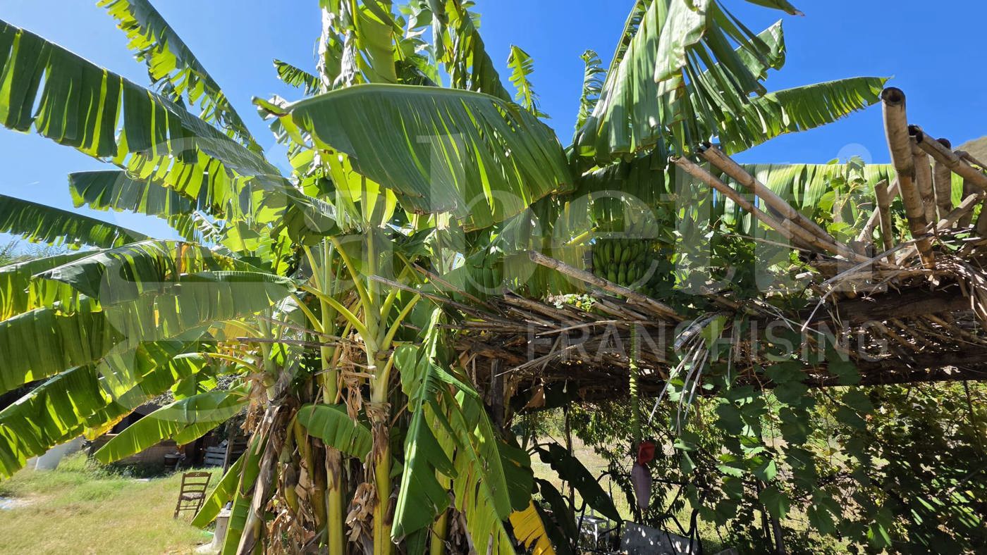 Terreno Agricolo in vendita a Pozzuoli