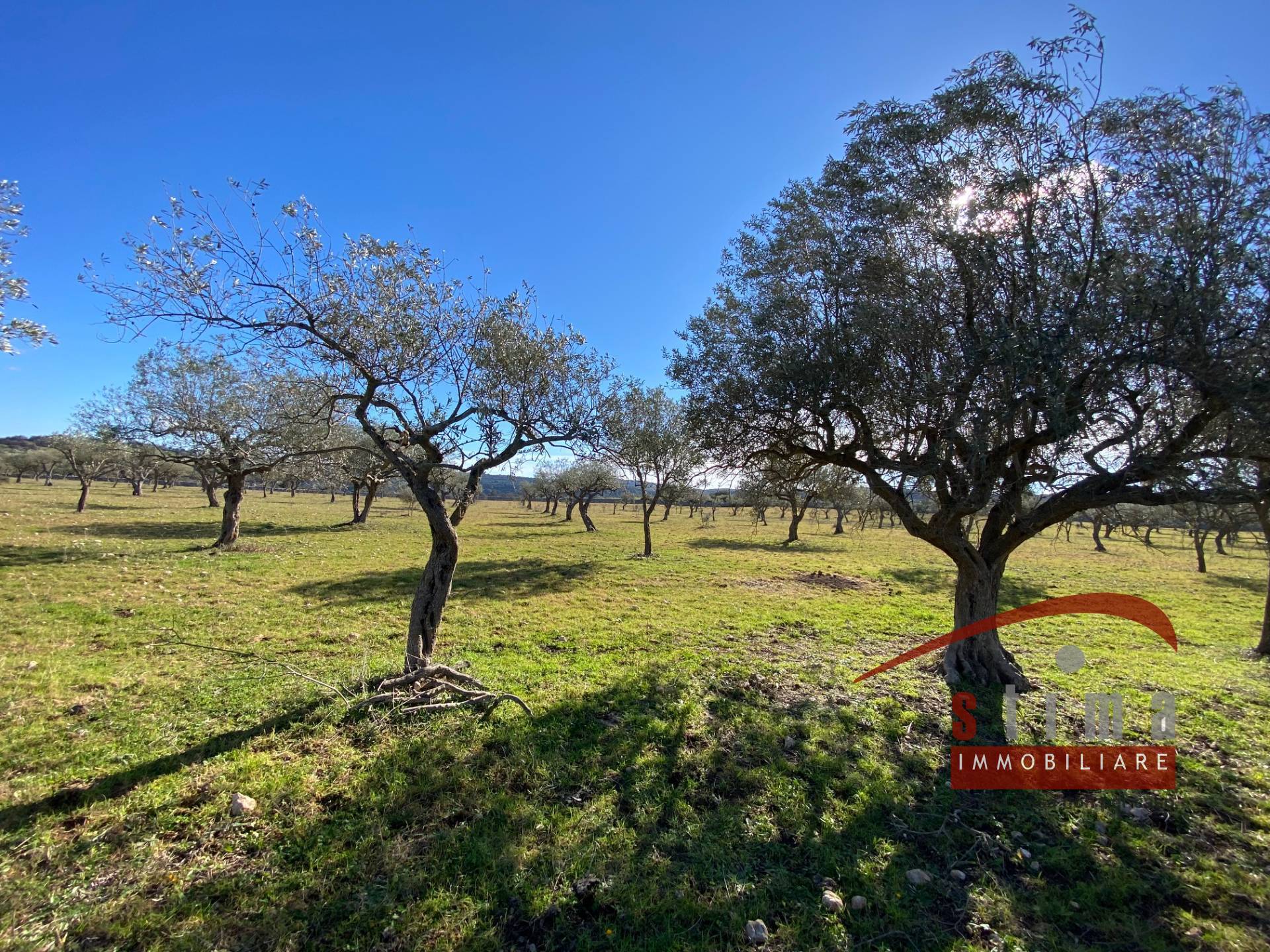 Terreno con costruzione in vendita a Cassaro