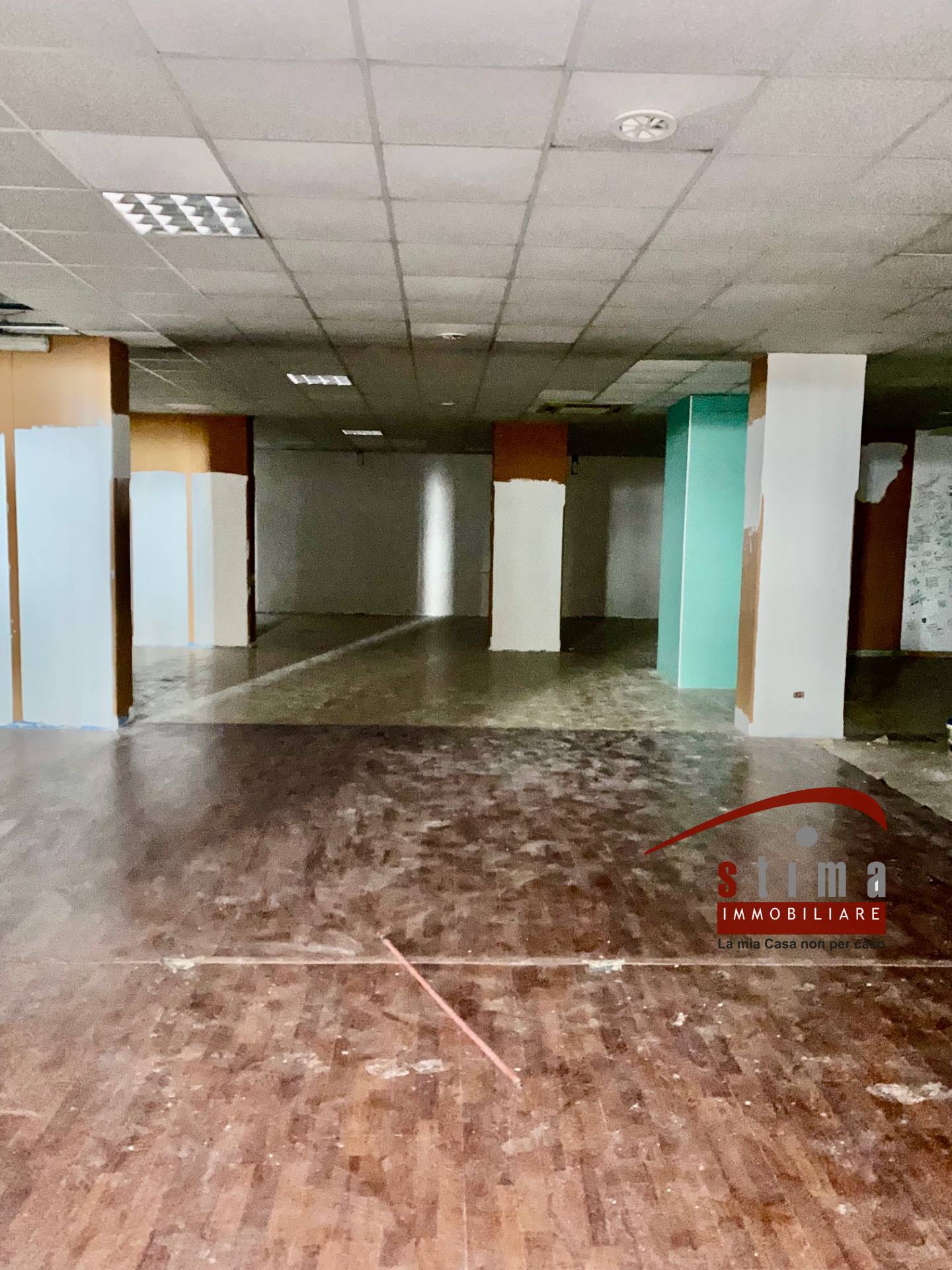 Basso in affitto a Siracusa, Gelone