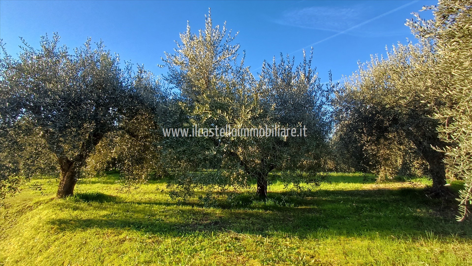 Terreno in vendita a Chiusi