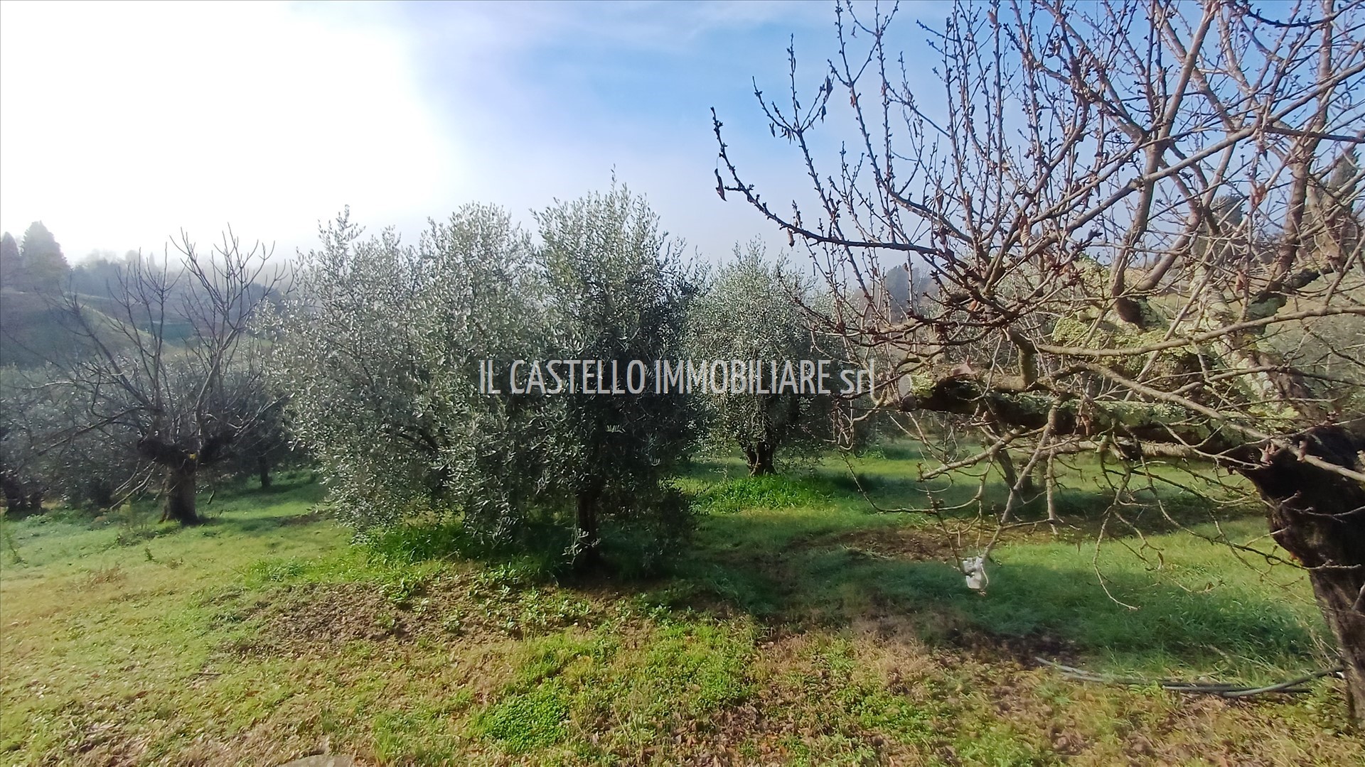 Rustico con giardino a Trequanda