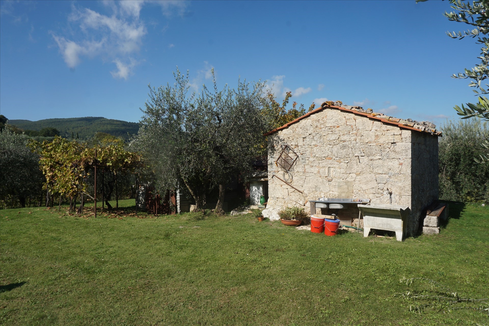 Terreno in affitto a Sarteano