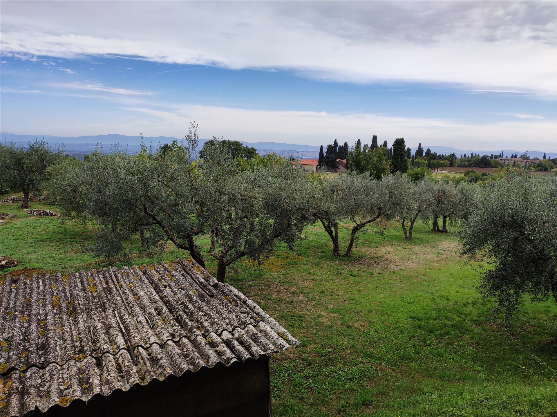 Terreno in affitto a Sarteano