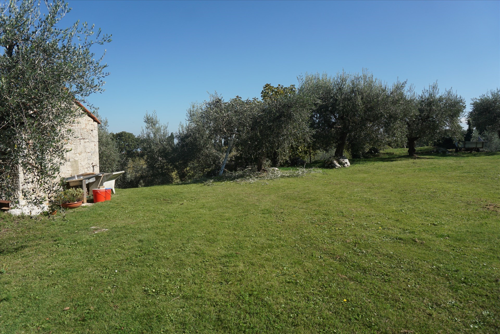 Terreno in affitto a Sarteano