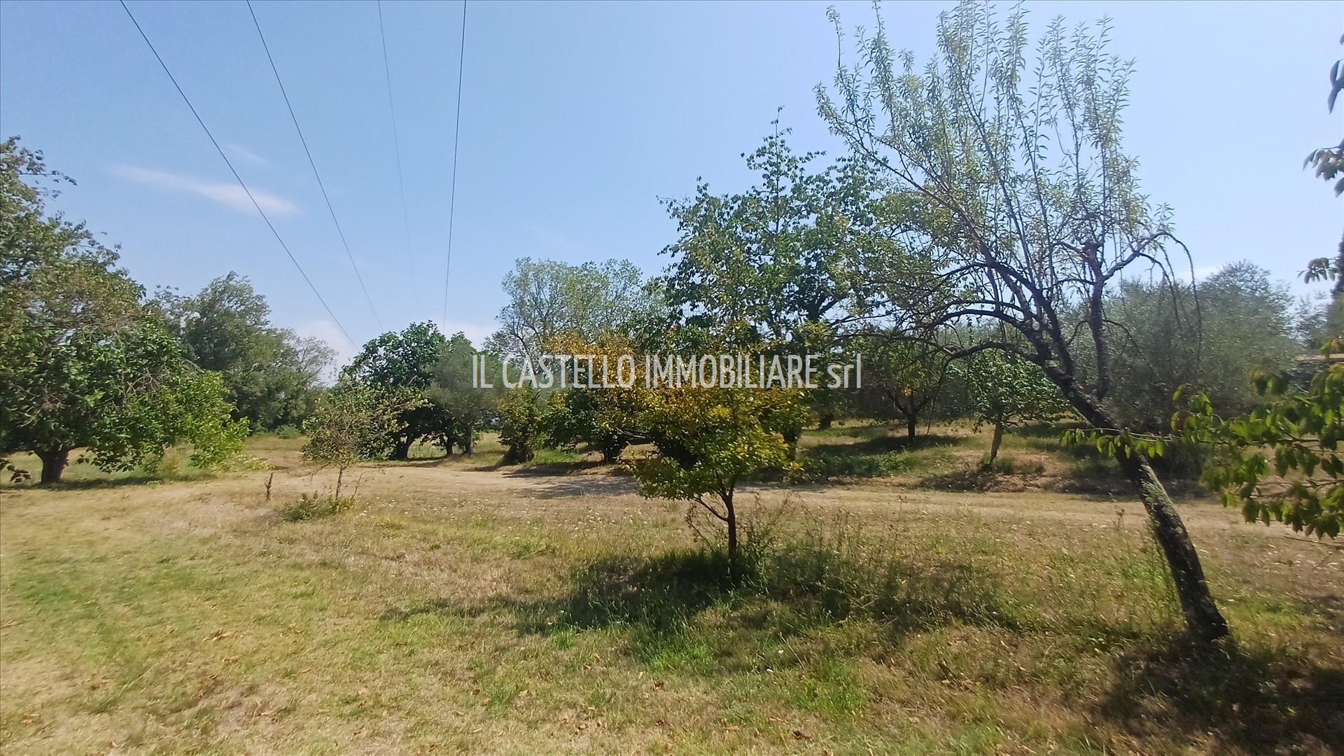 immagine annuncio 1 di 6