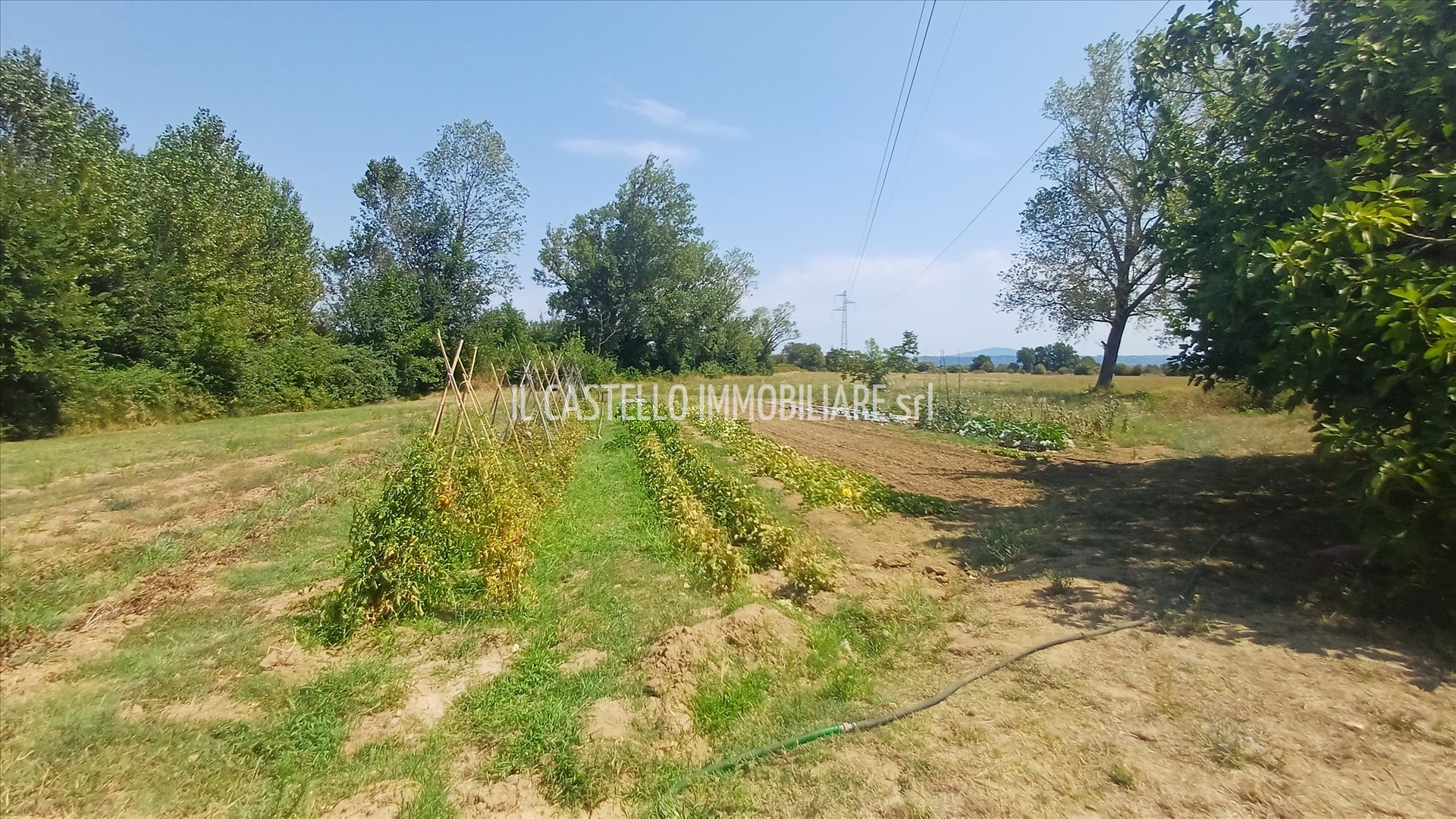 immagine annuncio 3 di 6