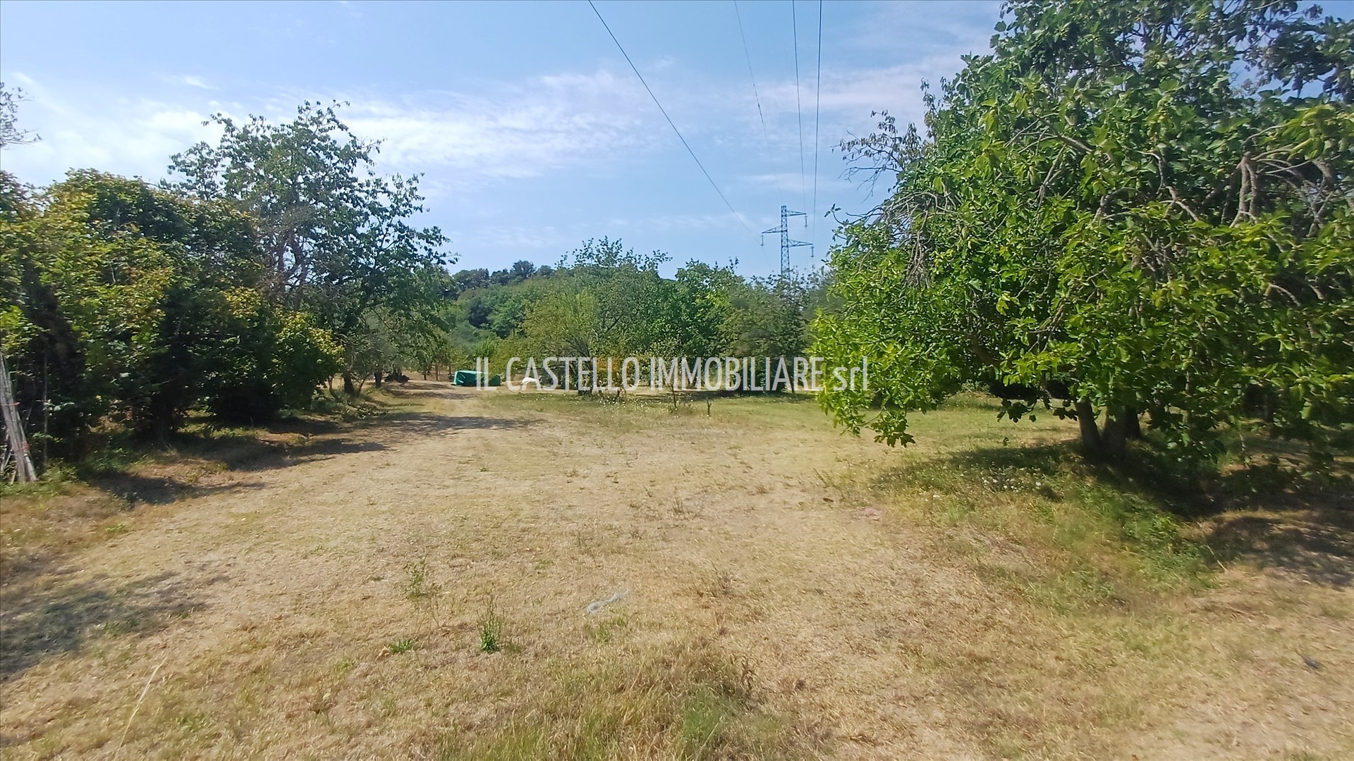 immagine annuncio 4 di 6