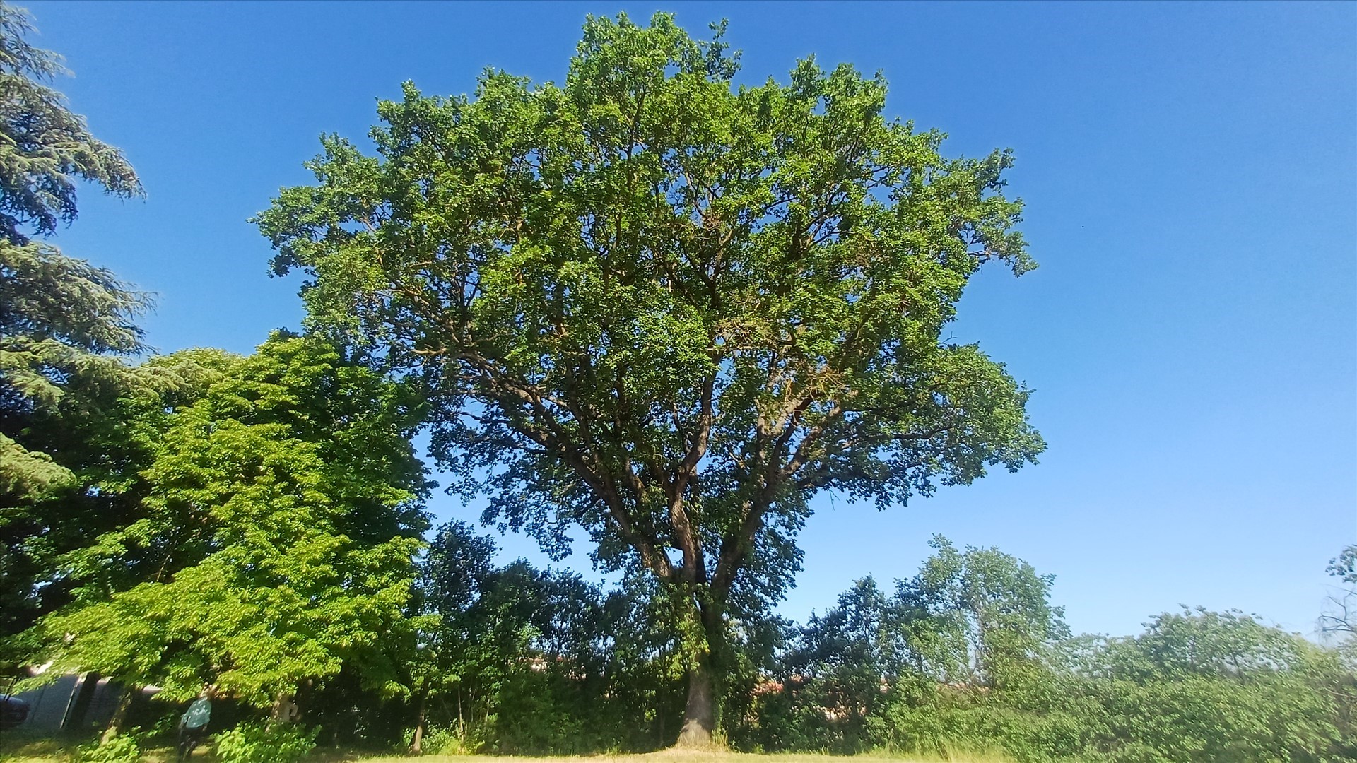 Rustico con giardino, Montepulciano acquaviva