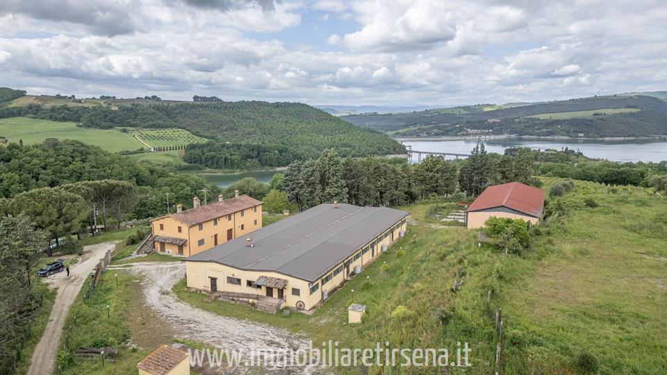 Attivit commerciale con giardino a Orvieto