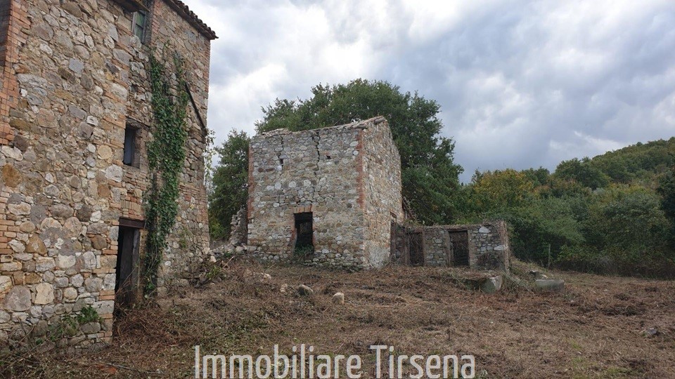 immagine annuncio 2 di 6