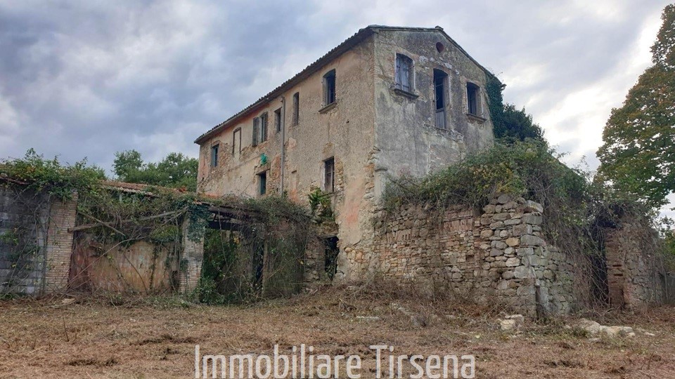 immagine annuncio 3 di 6