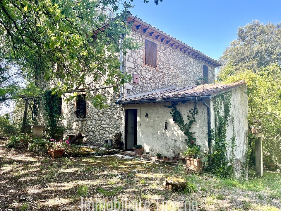 immagine annuncio 1 di 6