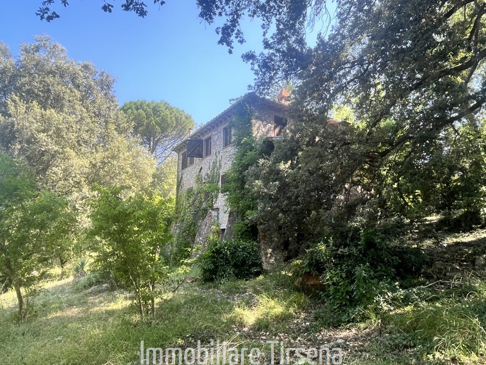 immagine annuncio 3 di 6