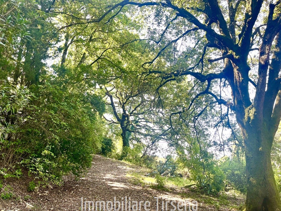 immagine annuncio 4 di 6
