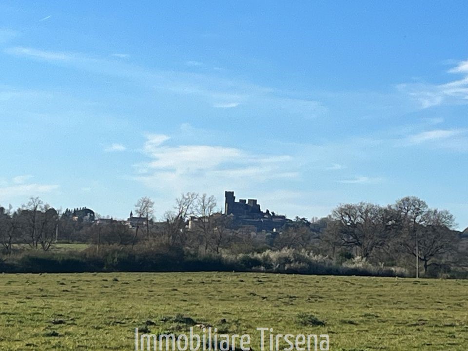 Rustico in vendita, Acquapendente torre alfina