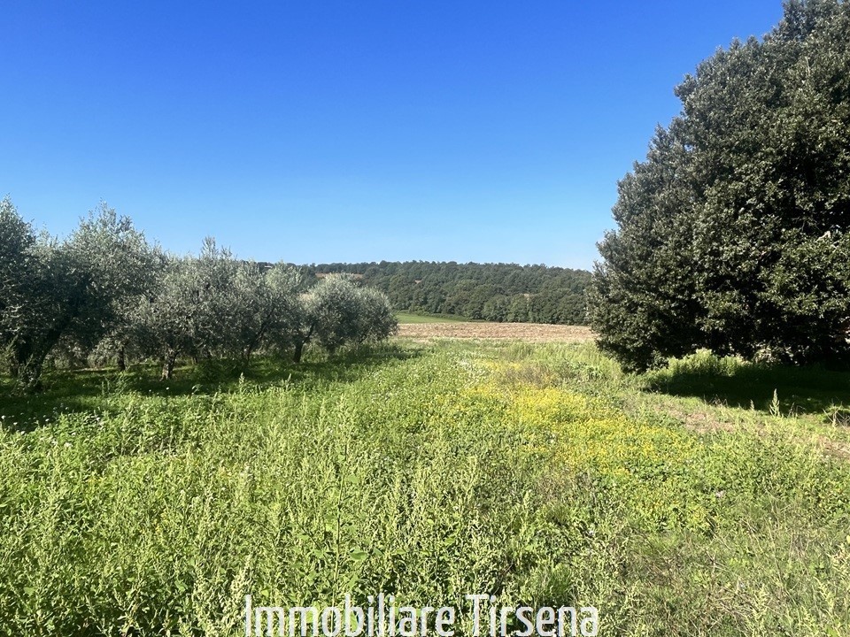 immagine annuncio 4 di 6