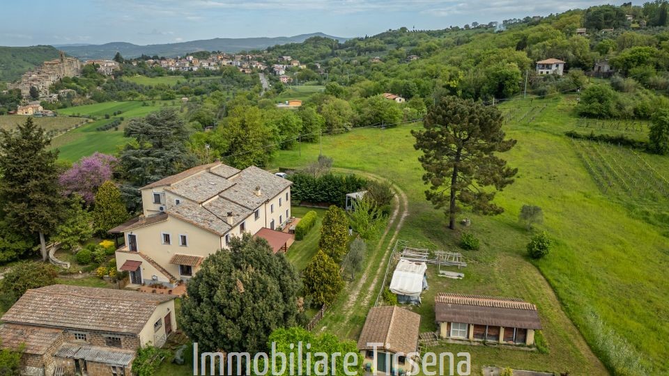 immagine annuncio 4 di 6