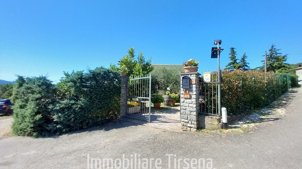 immagine annuncio 5 di 6