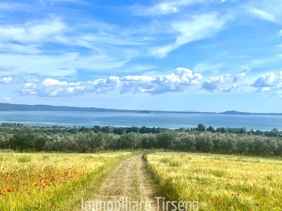 Terreno vista lago a Bolsena