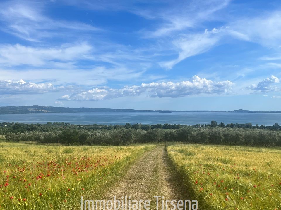 Terreno vista lago a Bolsena