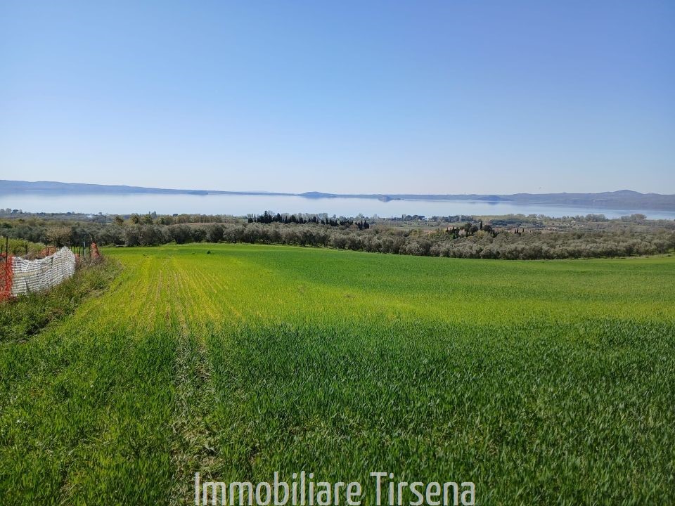Terreno vista lago a Bolsena