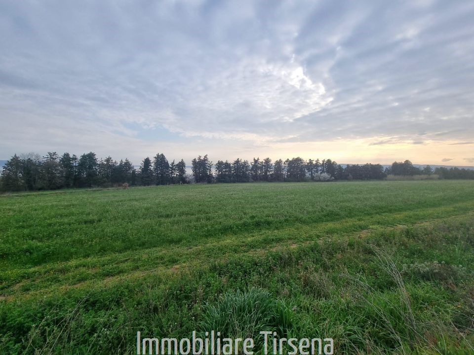 Terreno vista lago a Bolsena