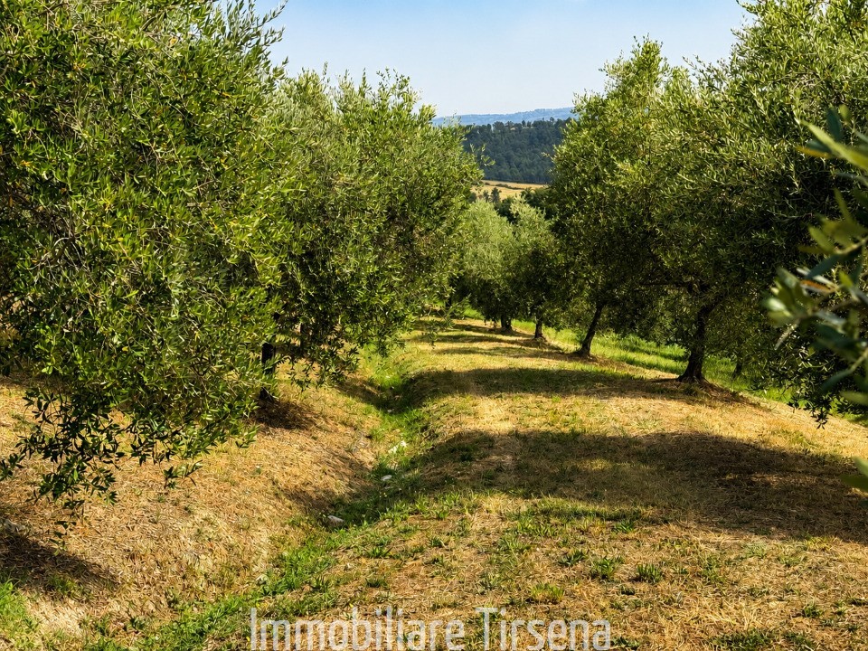 Rustico con giardino, Fabro scalo