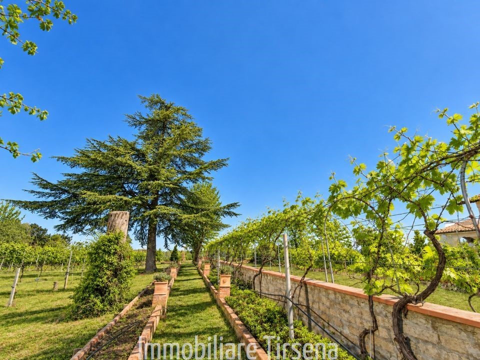 Villa con giardino a San Lorenzo Nuovo
