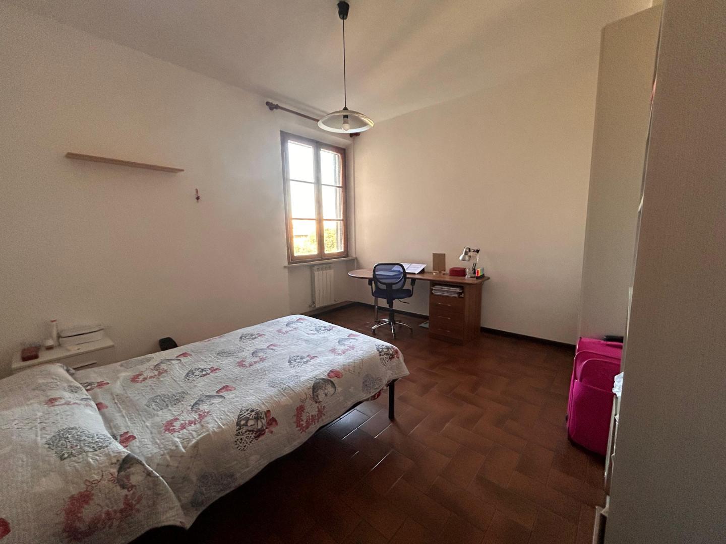 Stanza Singola in affitto, Pisa san francesco