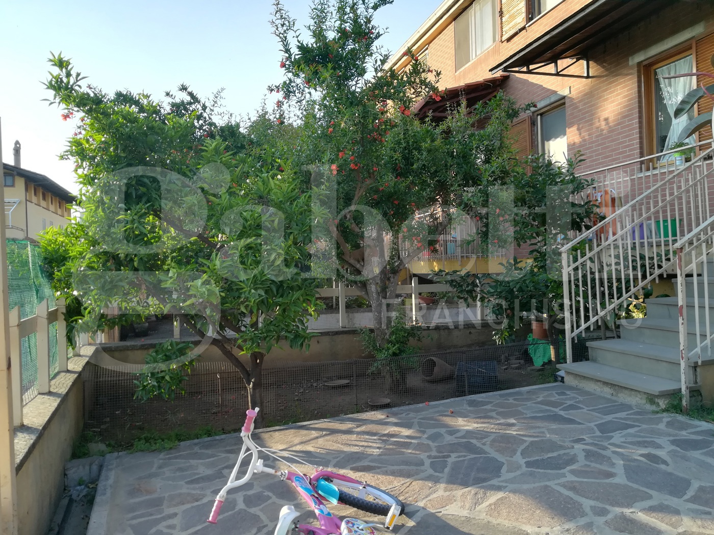 immagine annuncio 2 di 10