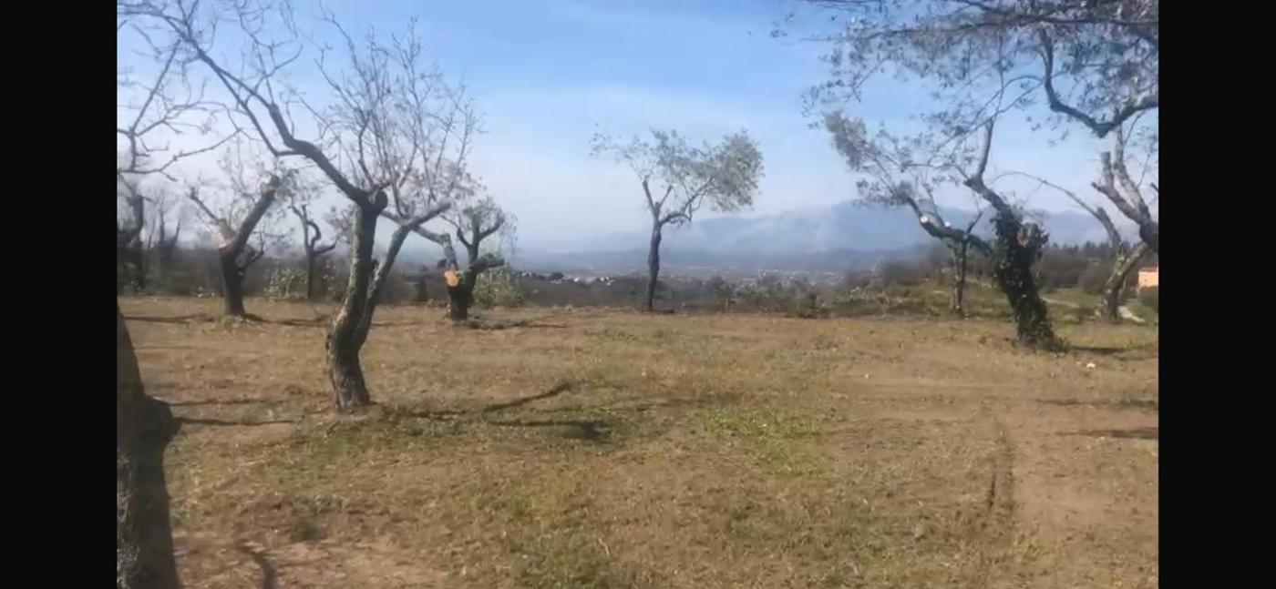 Terreno Edificabile in vendita a Sessa Aurunca