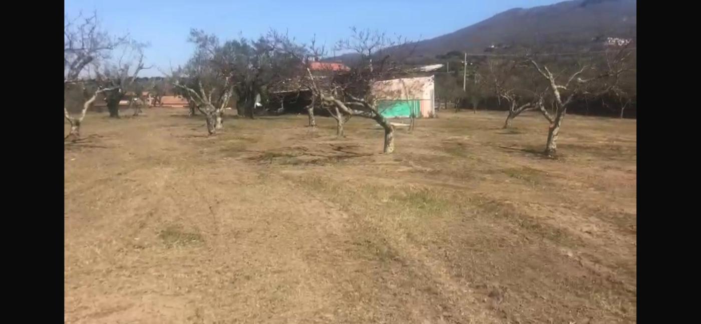 Terreno Edificabile in vendita a Sessa Aurunca