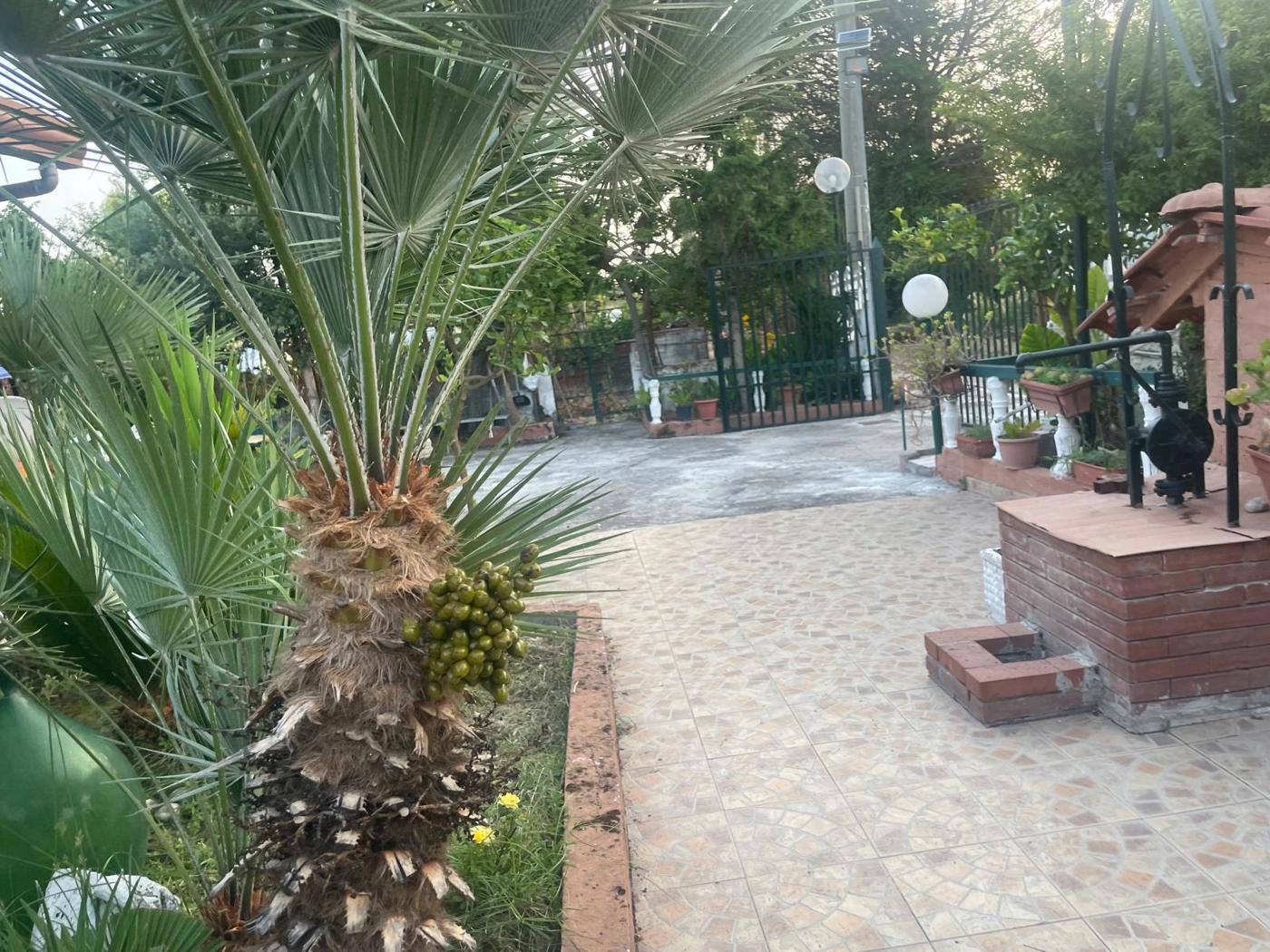 Villa in vendita a Cellole