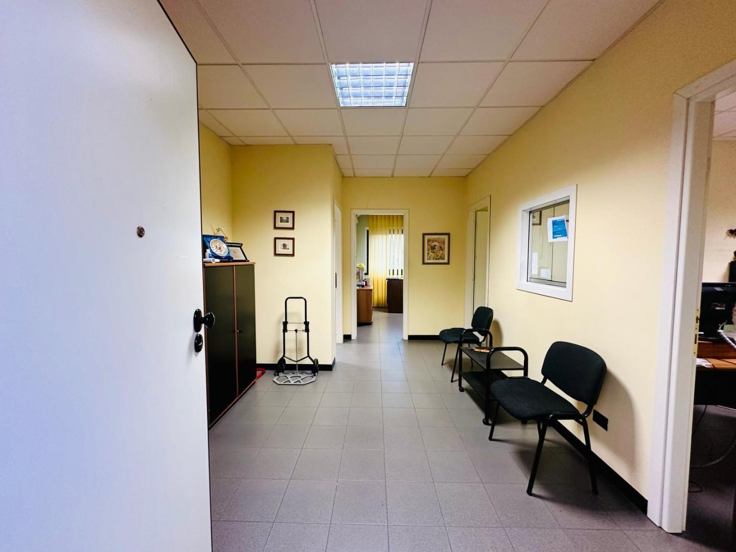immagine annuncio 3 di 6