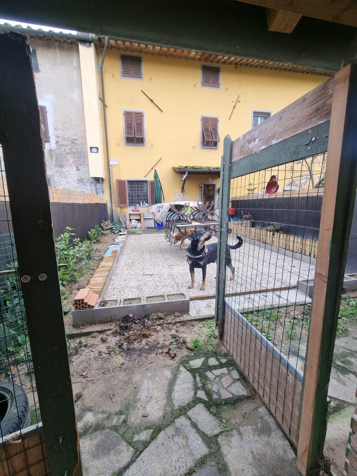 Casa indipendente in vendita, Porcari padule