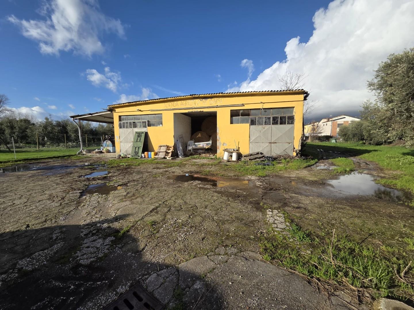 Attivit� commerciale in vendita, Capannori lammari