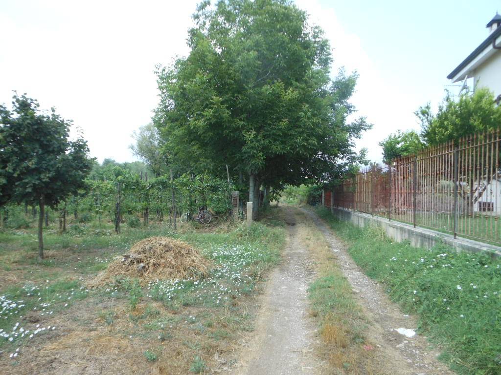 Terreno in vendita a Vairano Patenora