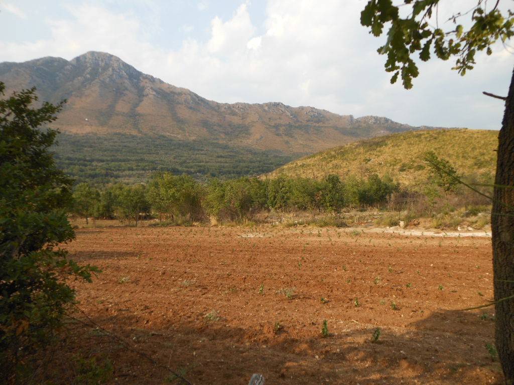 Terreno in vendita a San Pietro Infine