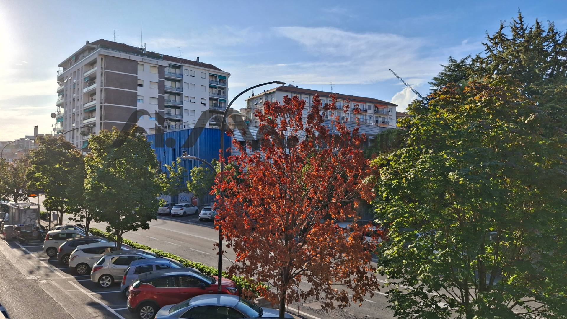 trilocale in vendita a Savona, Oltreletimbro
