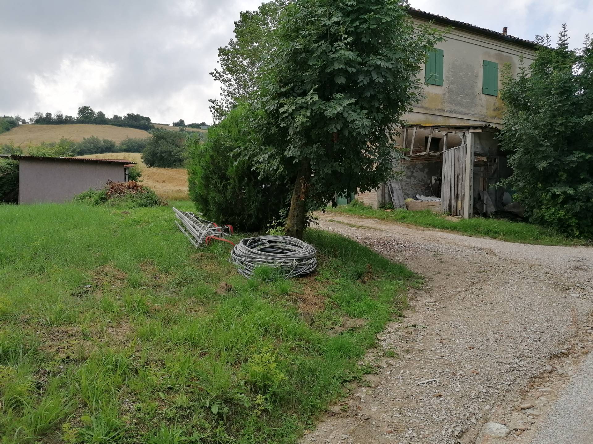 immagine annuncio 1 di 6