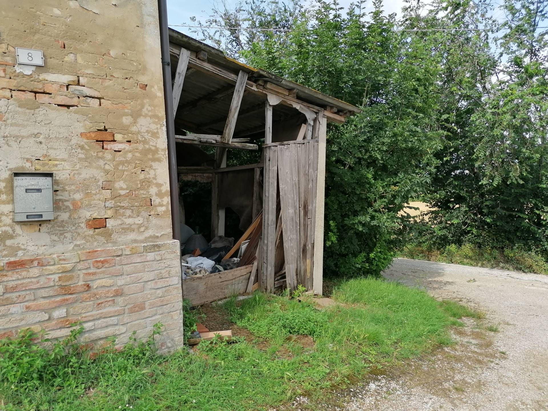 immagine annuncio 3 di 6