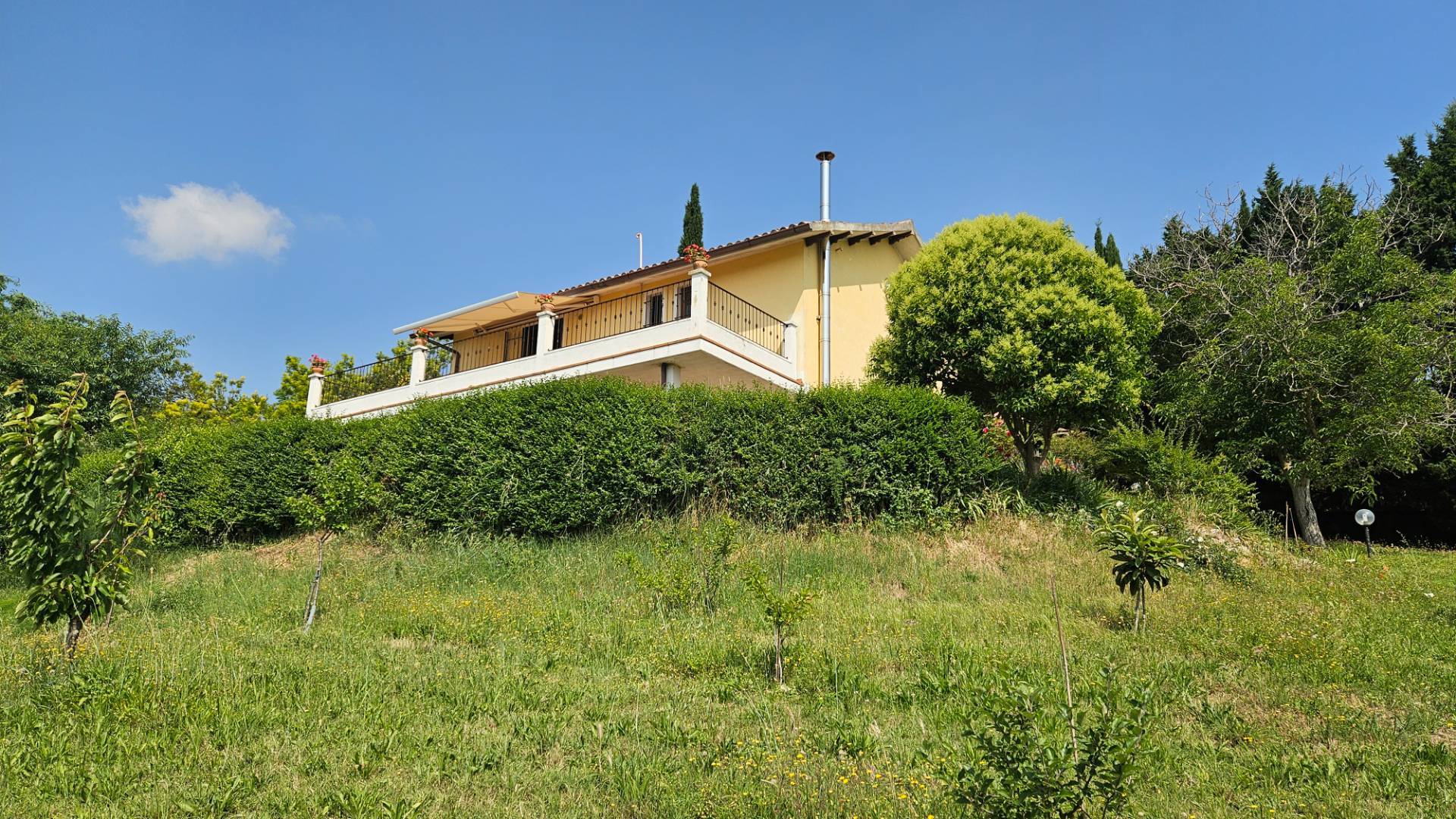 immagine annuncio 2 di 10