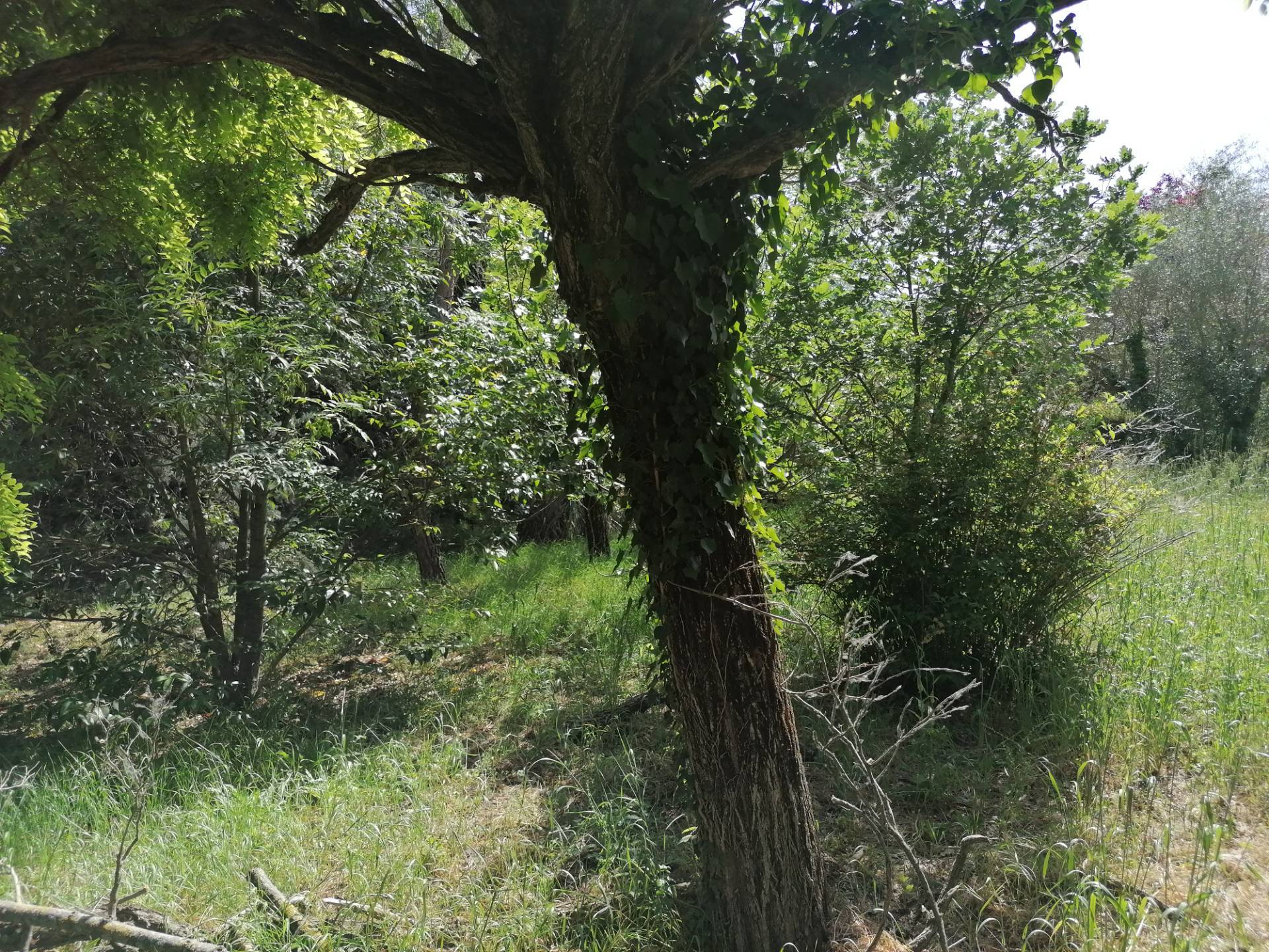 Casa colonica in vendita a Fossombrone