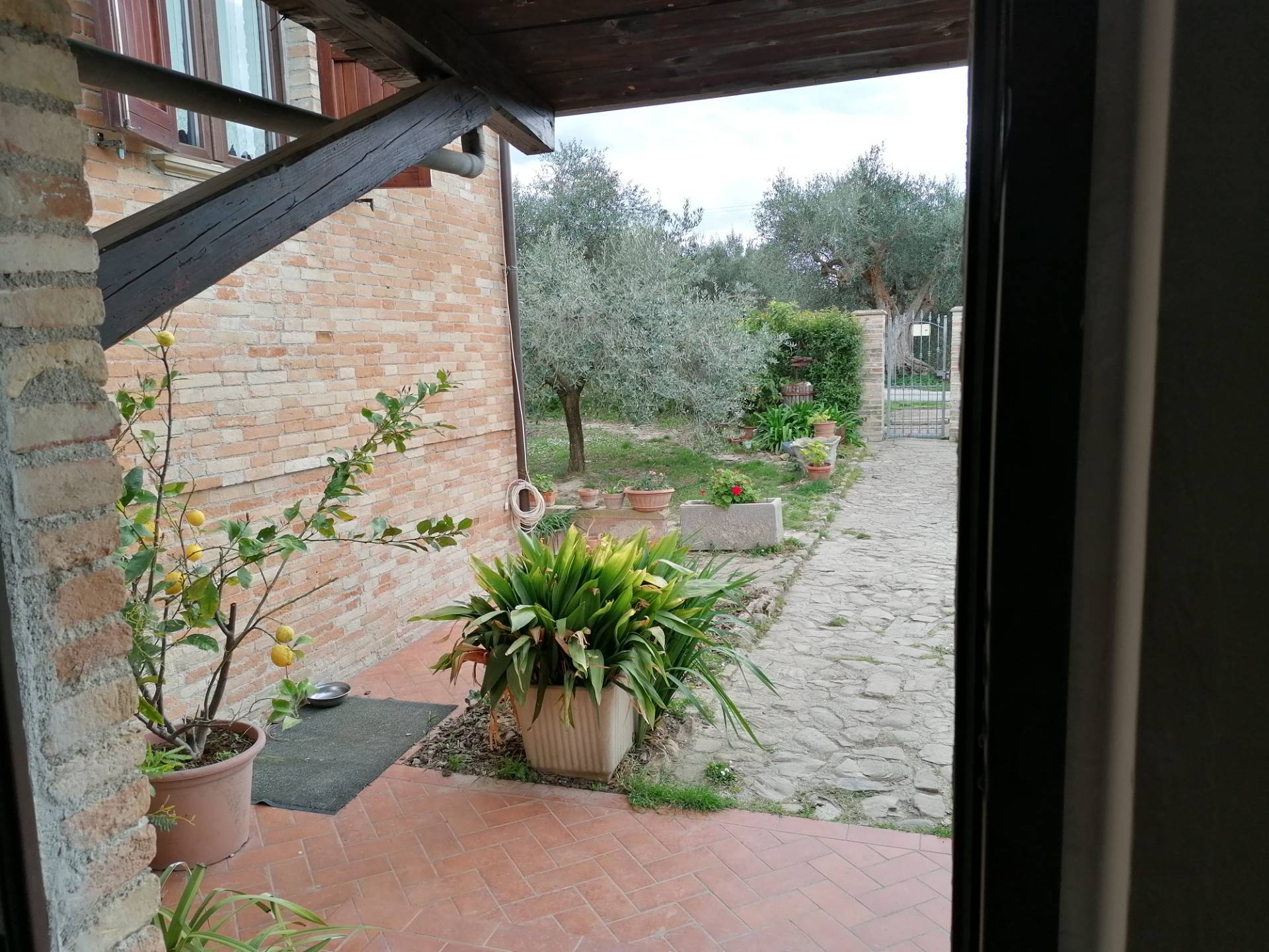 Casa colonica in vendita a Cartoceto, Lucrezia