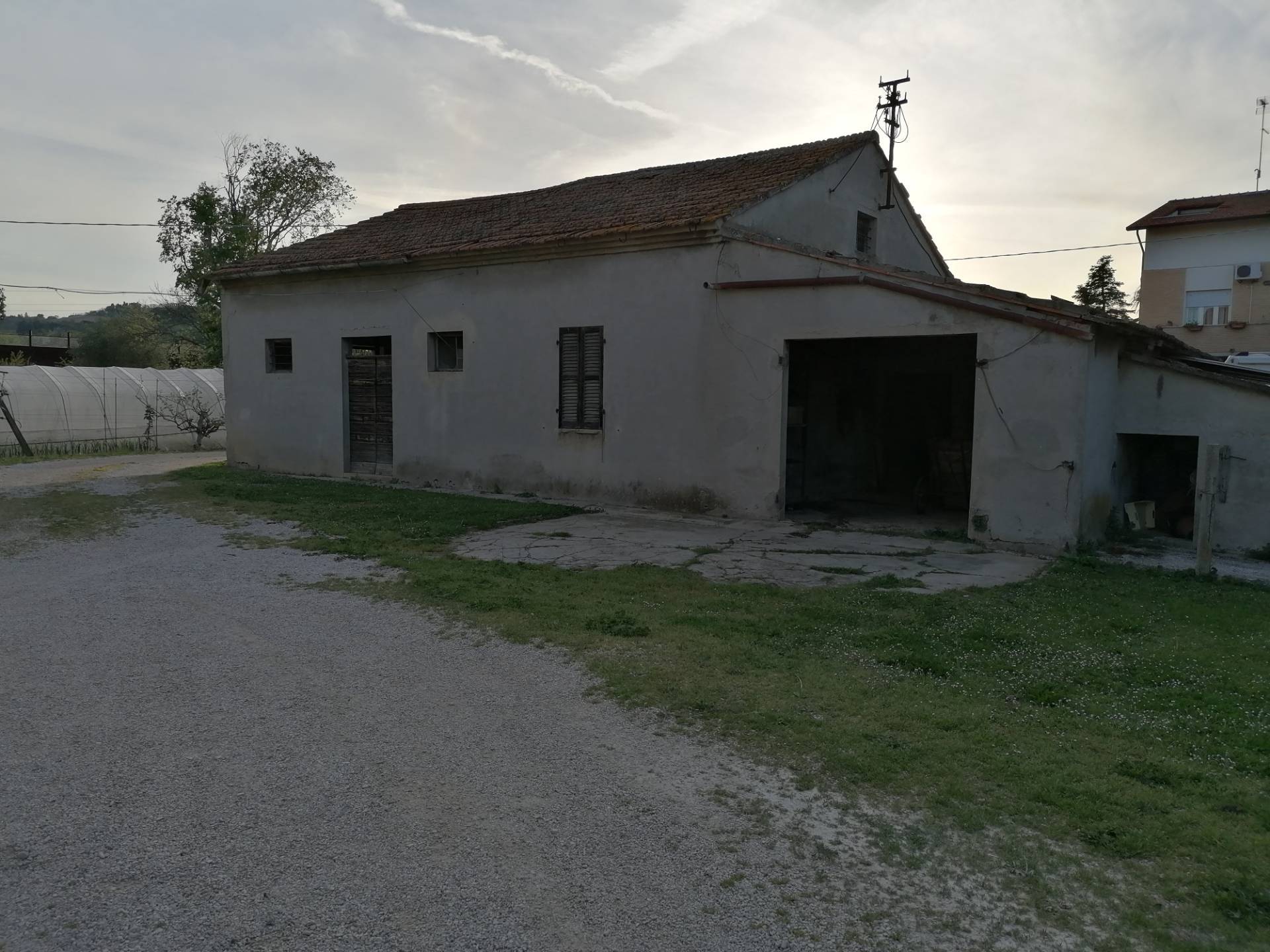 immagine annuncio 2 di 6