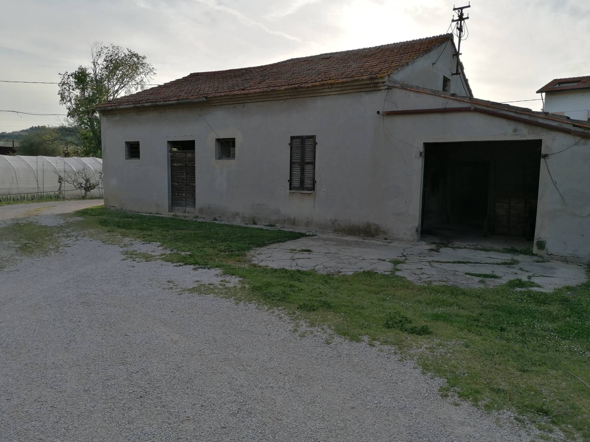 immagine annuncio 3 di 6