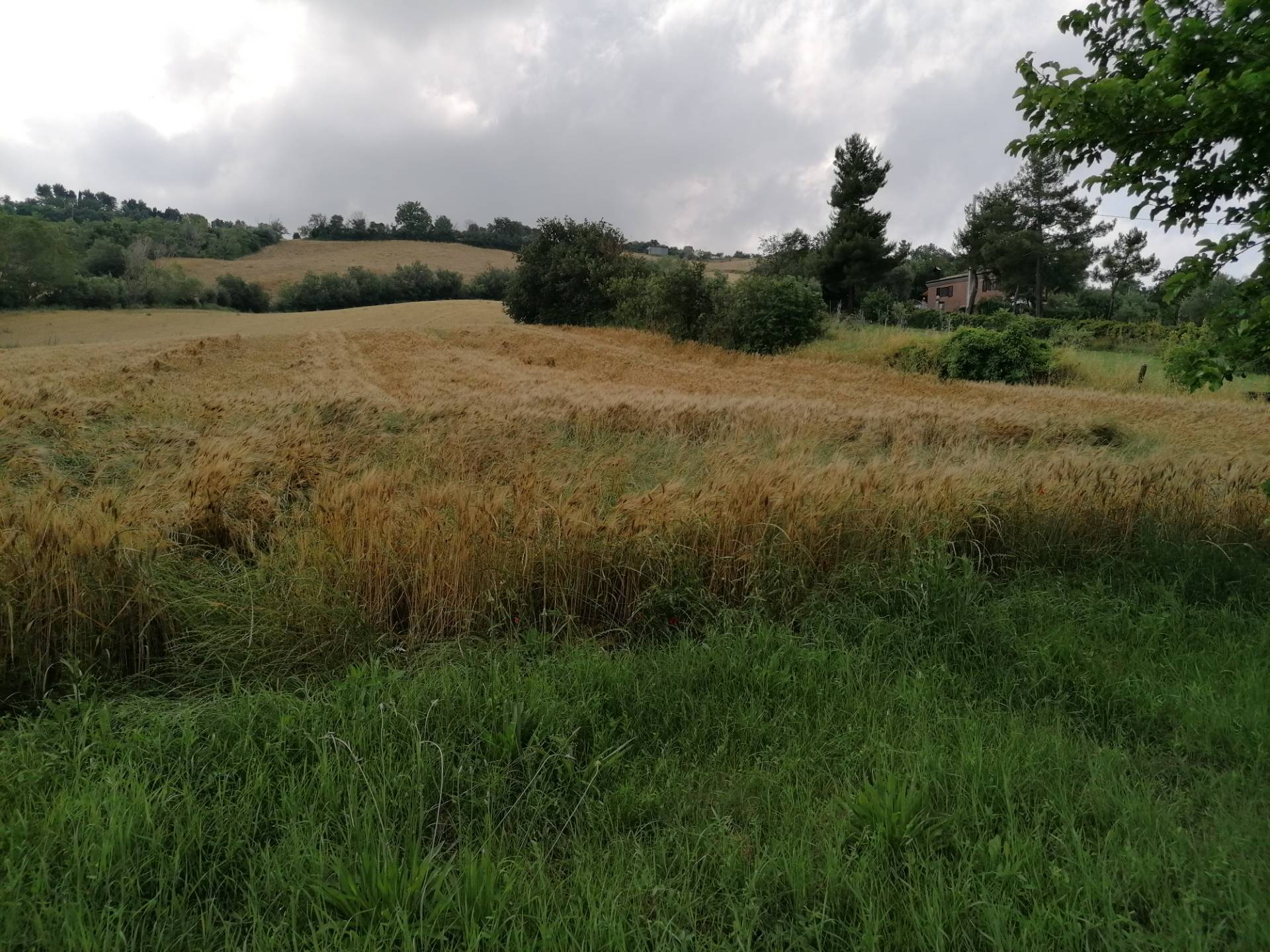 Casa colonica in vendita a Colli al Metauro
