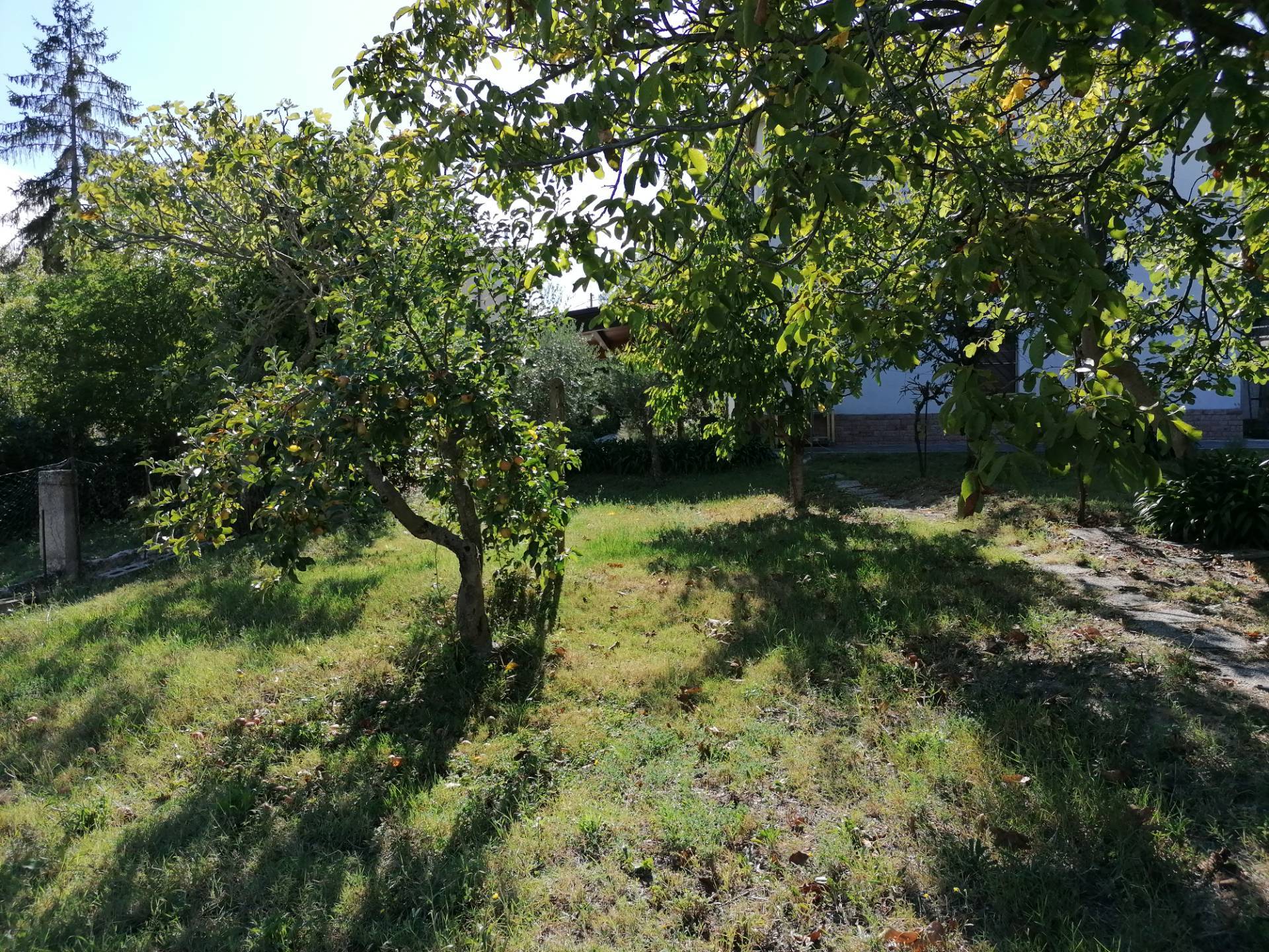 Terreno edificabile in vendita a Fano, Cuccurano