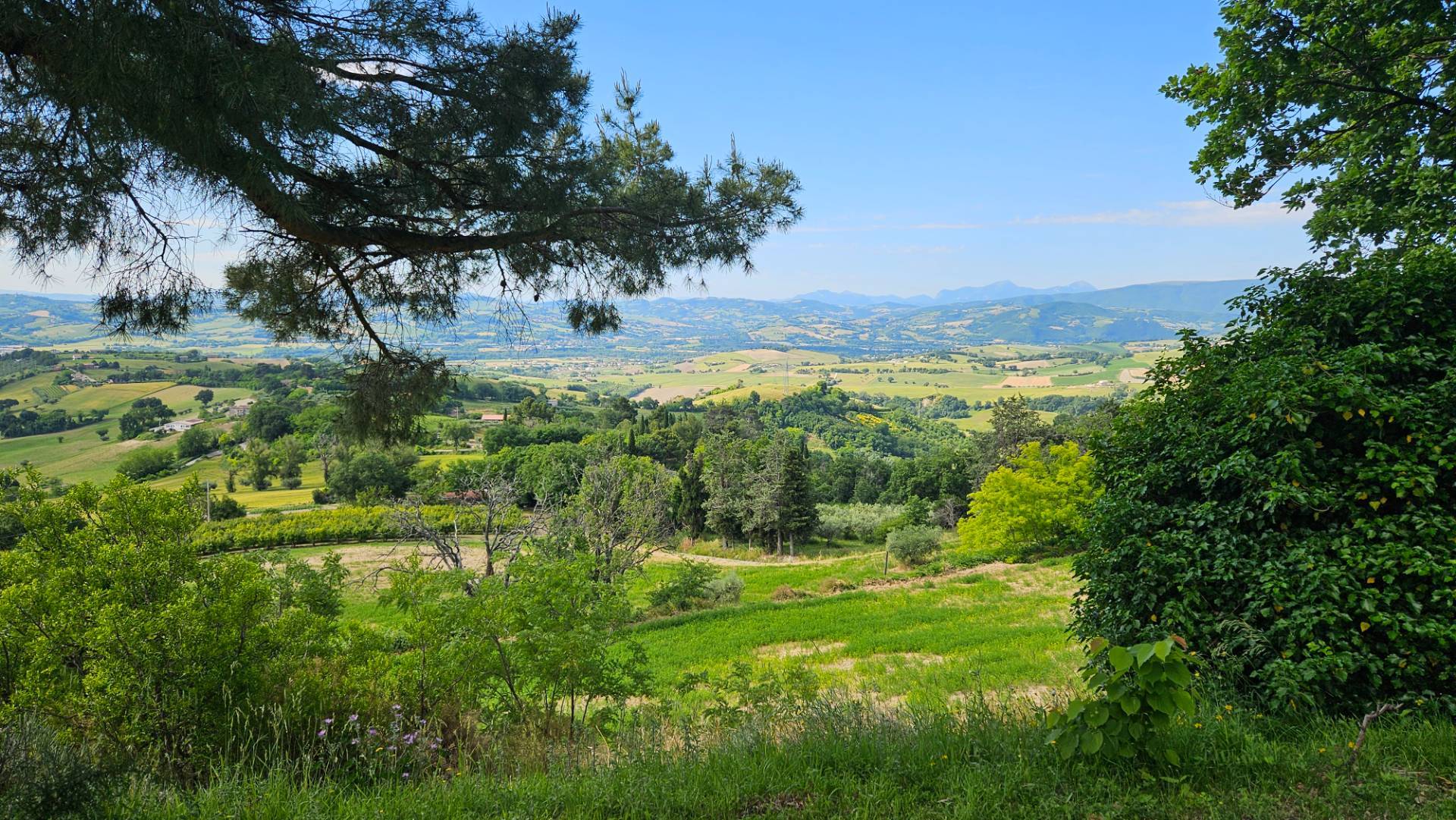Villa in vendita a Colli al Metauro, Serrungarina